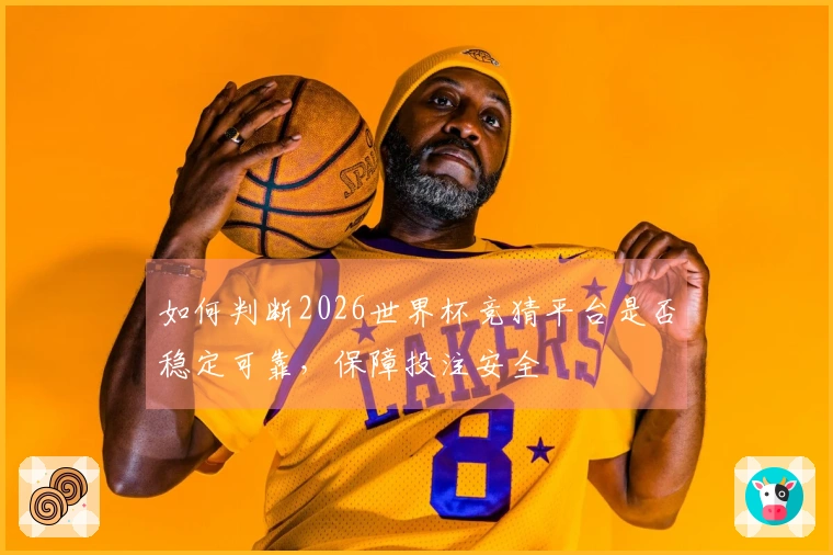 如何判断2026世界杯竞猜平台是否稳定可靠,保障投注安全