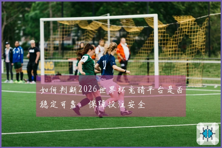 如何判断2026世界杯竞猜平台是否稳定可靠，保障投注安全