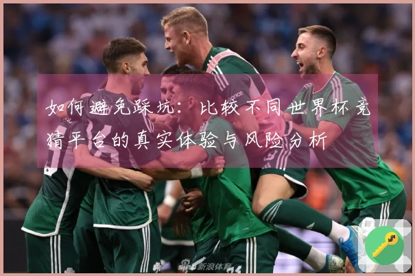 如何避免踩坑:比较不同世界杯竞猜平台的真实体验与风险分析