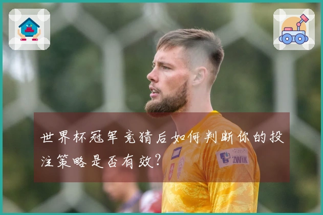 世界杯冠军竞猜后如何判断你的投注策略是否有效?